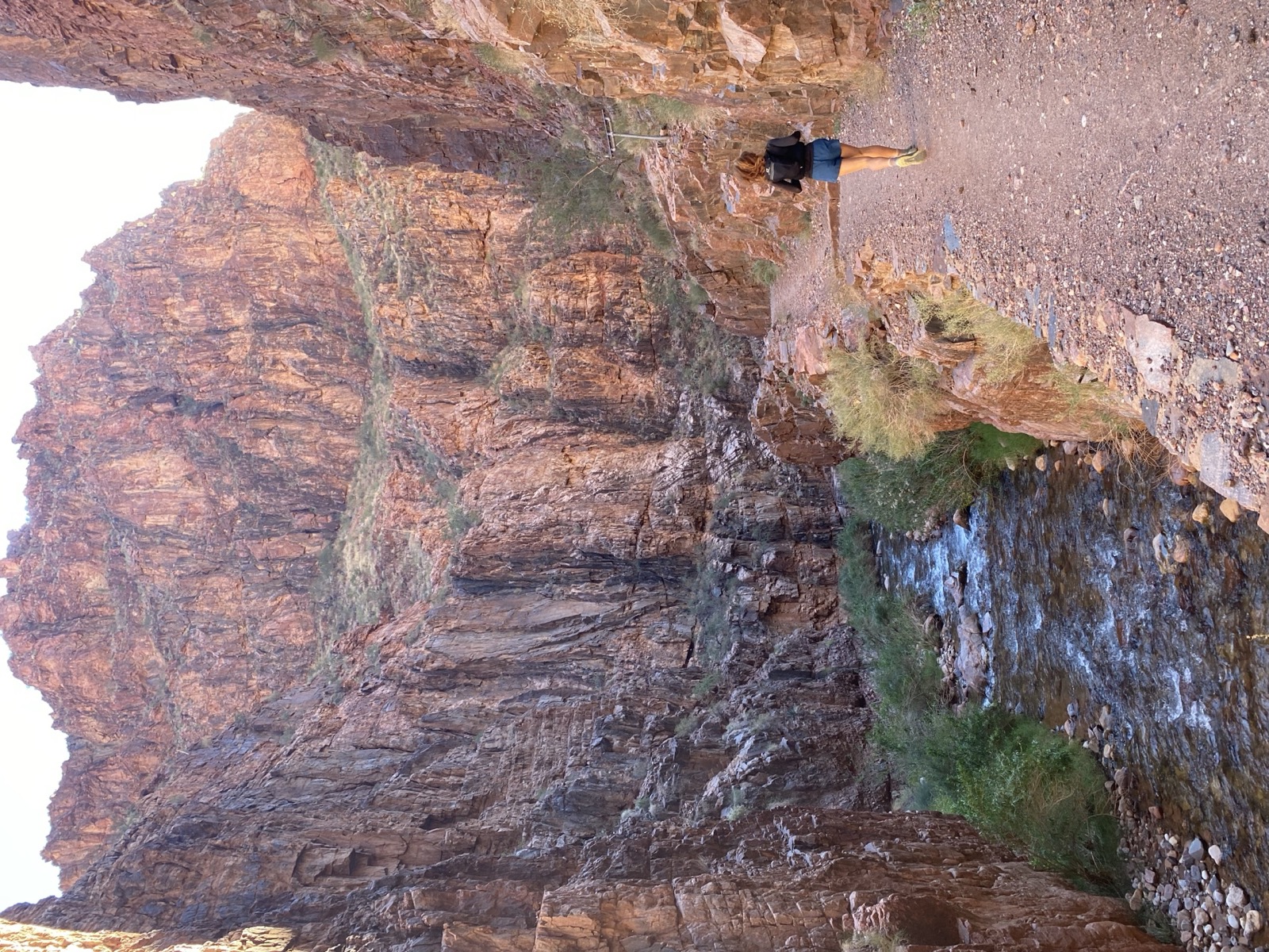 Back towards Phantom Ranch