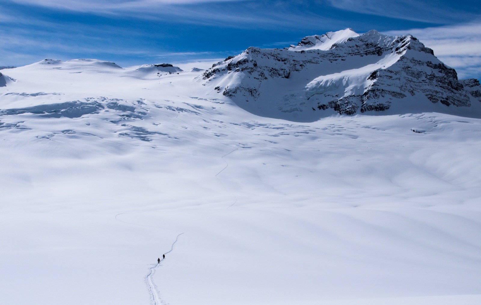 Looking across the Wapta Icefield.