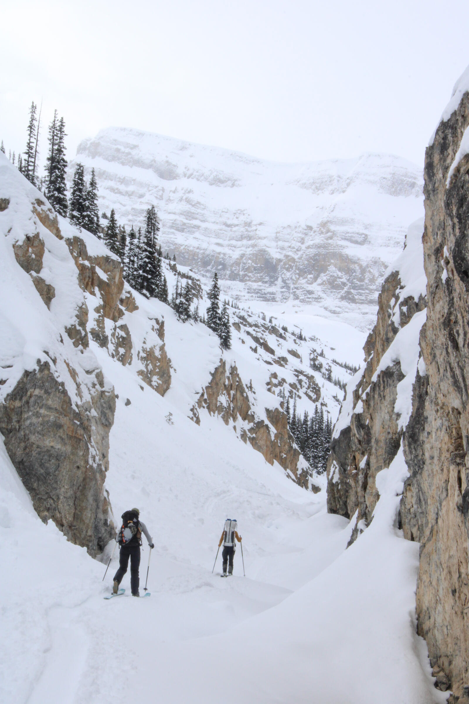 20250401-BowYoho-7.jpg