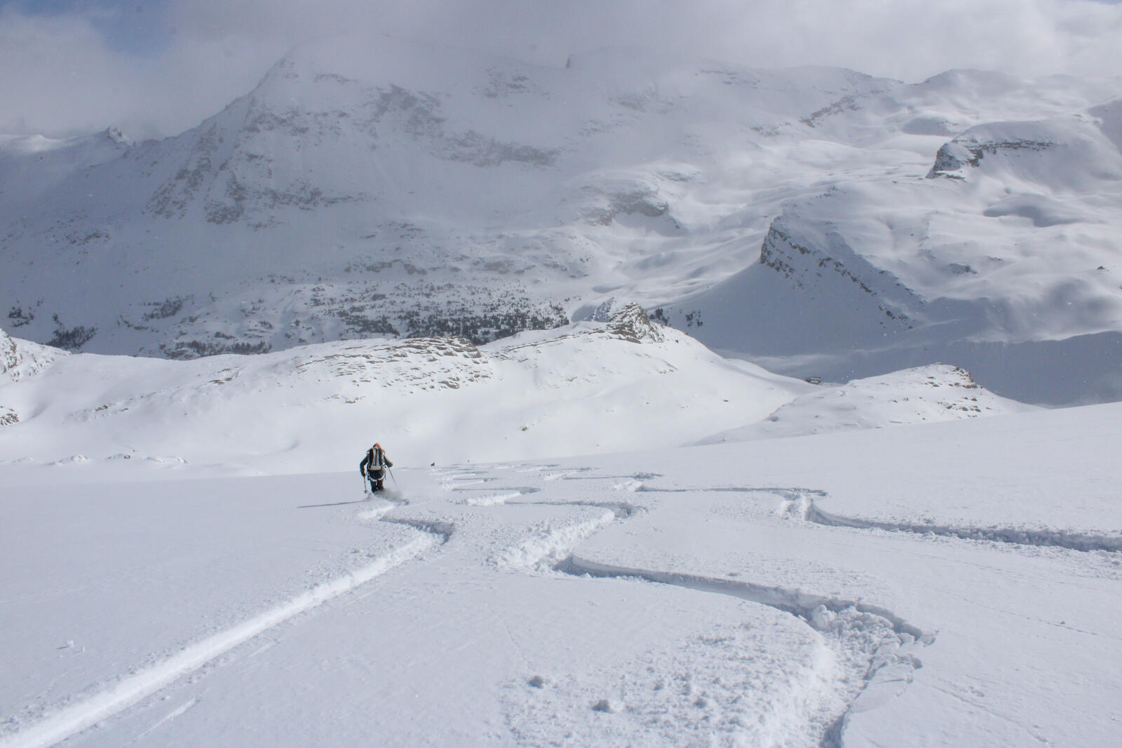 20250402-BowYoho-16.jpg