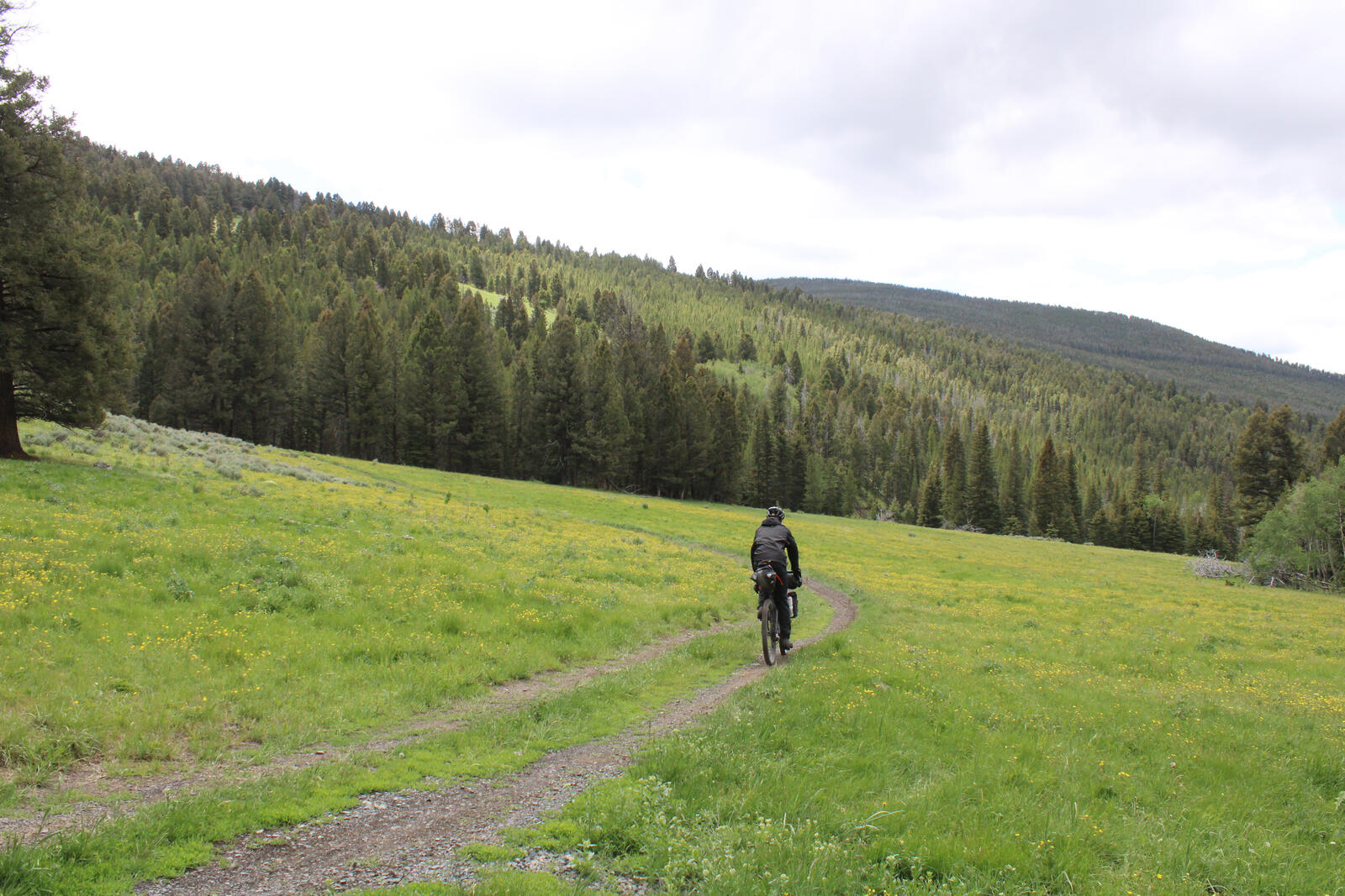 2025-Tour-Divide-088